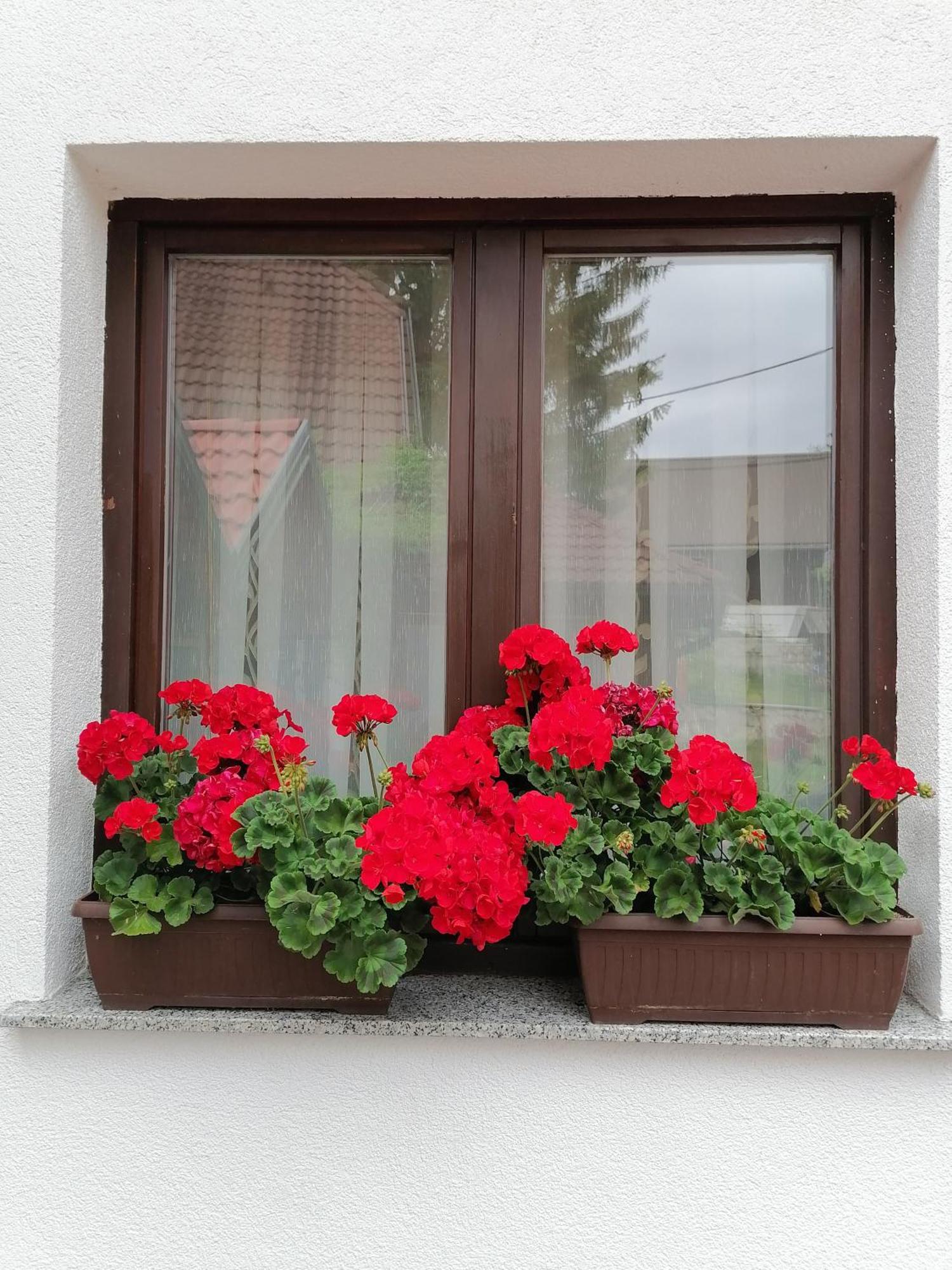 House Jezerka Hotel Jezerce Bilik gambar